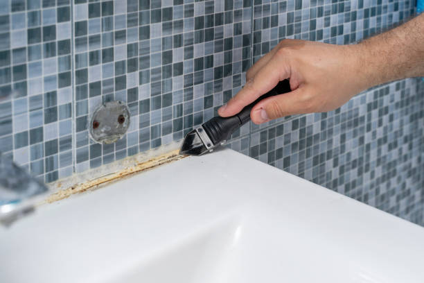 Best Home Mold Removal  in Meadow Oaks, FL