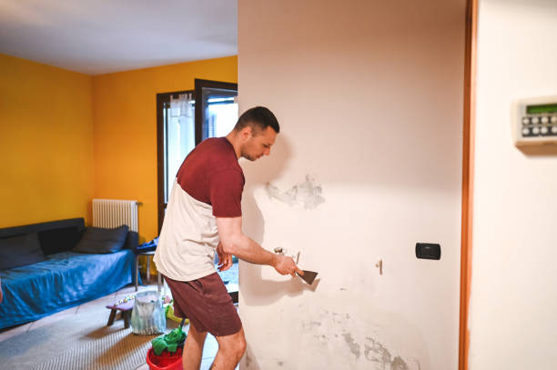 Best Toxic Mold Removal  in Meadow Oaks, FL